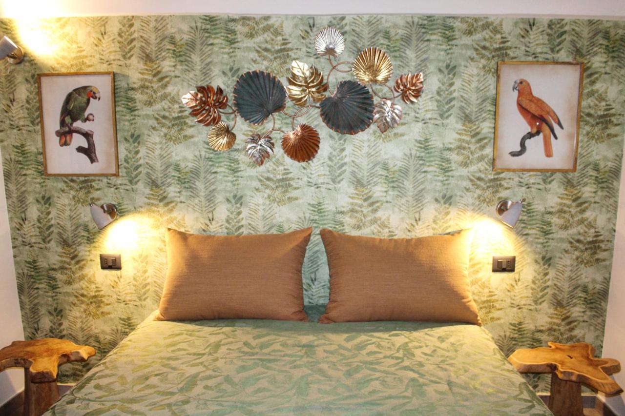 B&B Quispaccanapoli المظهر الخارجي الصورة